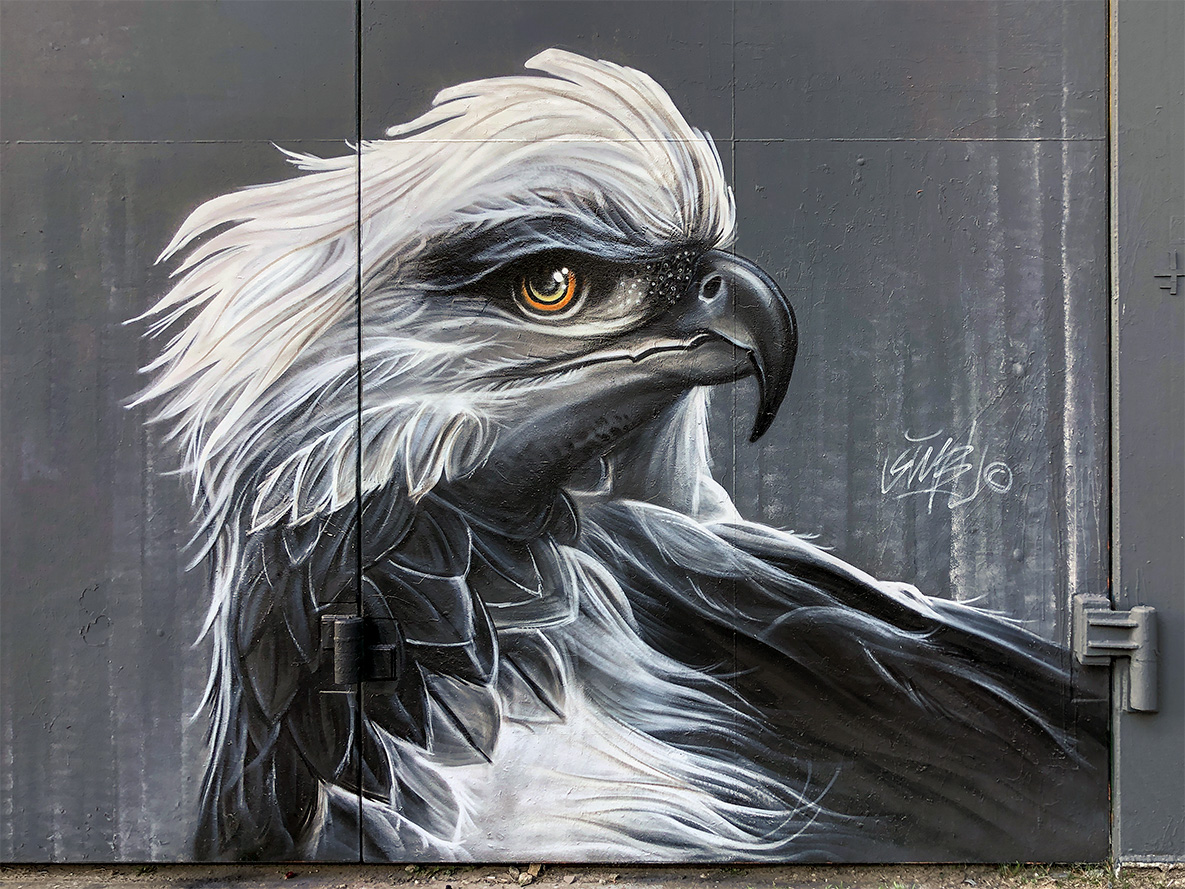 street-art. graffiti, spraycan, painting, spuitbus, eagle, majestic light, ndsm, amsterdam, straat, museum, straat museum,