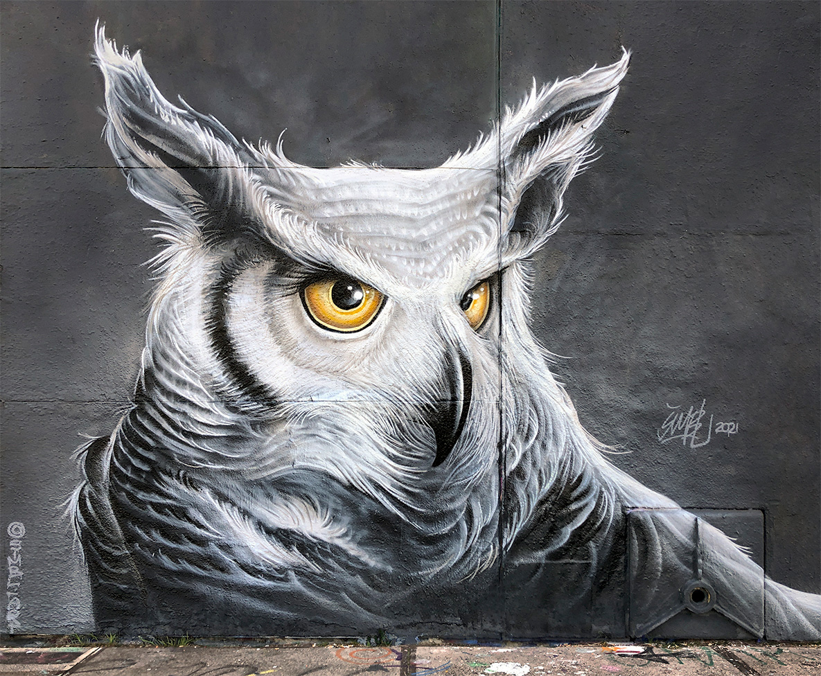 street-art. graffiti, spraycan, painting, spuitbus, eagle, owl, uil, birds of pray, roofvogels, night, nacht, ndsm, amsterdam, straat, museum, straat museum,