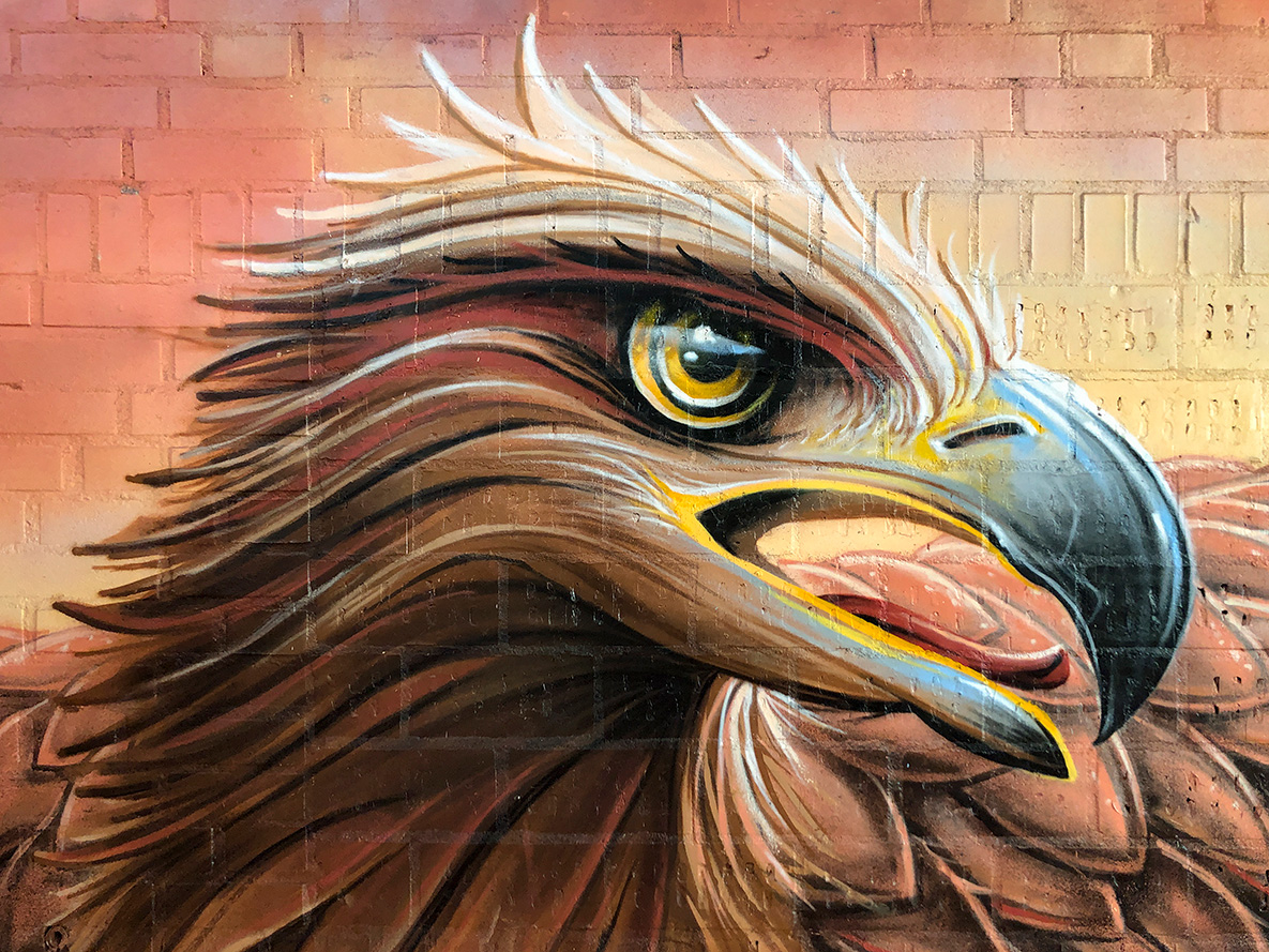 Simbl, street-art, graffiti, spraycan, painting, spuitbus, eagle, arend, 3d, 3dimensional, 3d art, progress, yorkone, wall stars, wall starz,