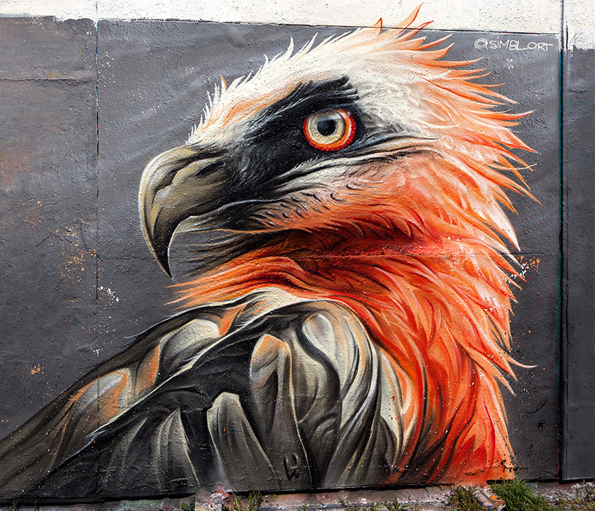 street-art, graffiti, spraycan, painting, spuitbus, bearded vulture, birds, ndsm, straat museum,