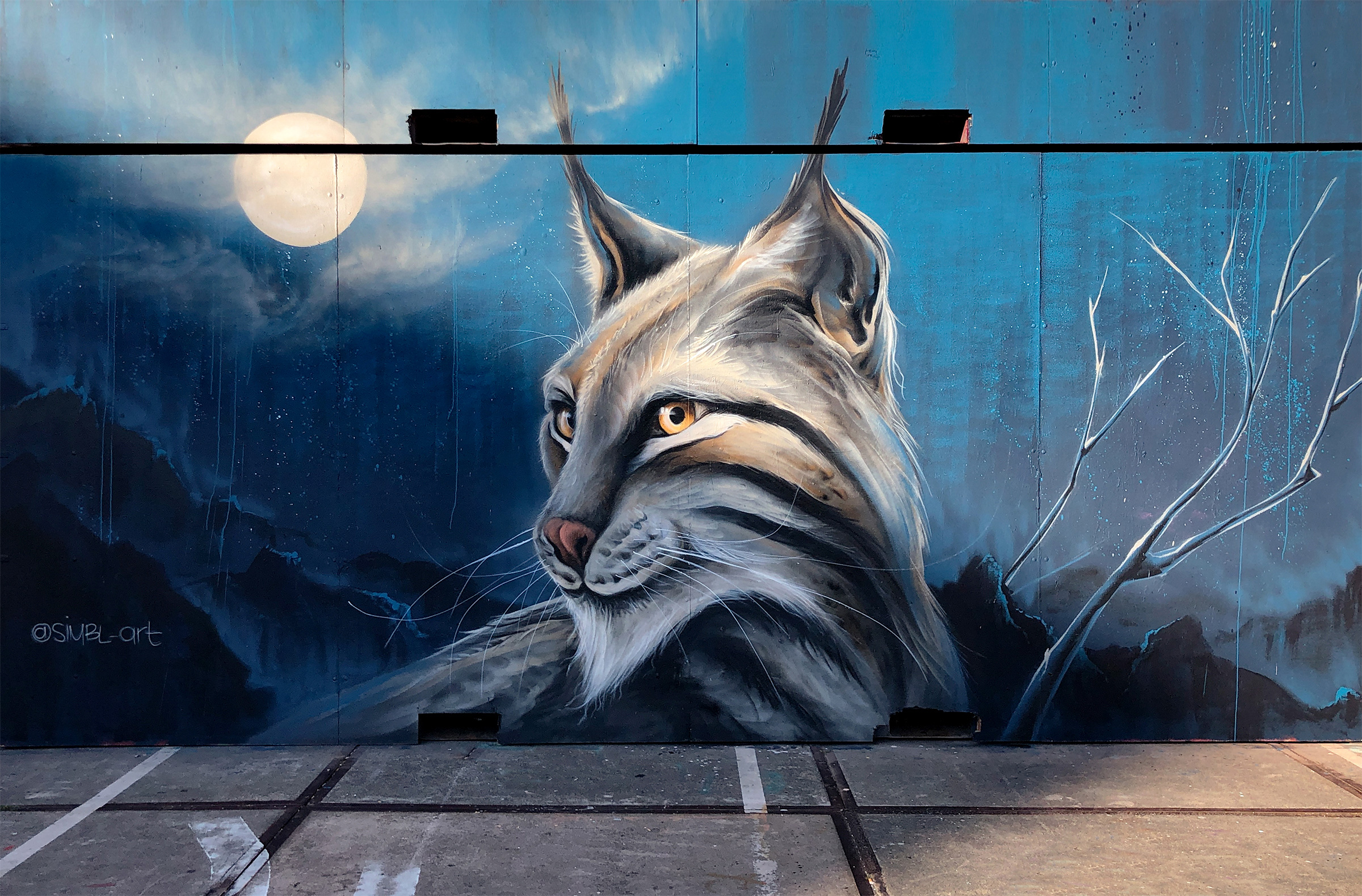 lynx, cat, cats, kat, katten, bedreigde dieren, endangered animals, street-art, graffiti, wall painting, 