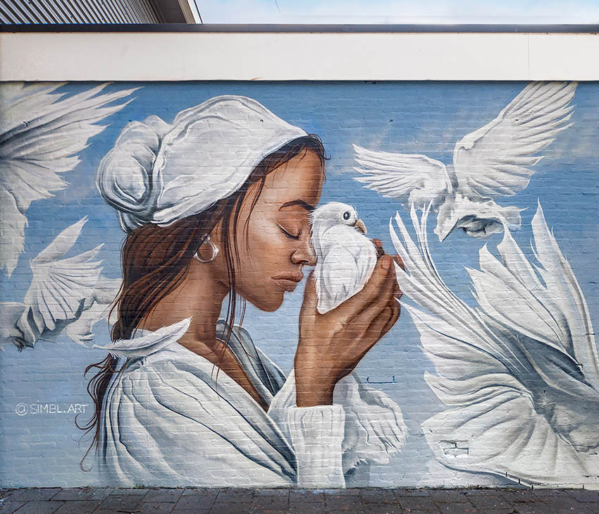street-art, graffiti, spraycan, painting, spuitbus, doves, white doves, inner, reflection, inner-reflection, meditation, mindfulness, peace, hengelo,