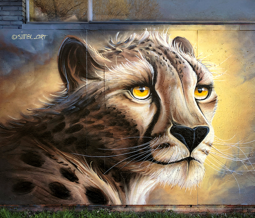 spraycanart, graffiti, graffitiart, streetart, streetartist, muralart, muurschildering, cheetah, 
