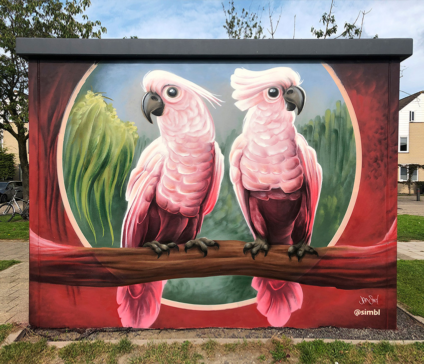 simbl, jan stel, svp, stadsverwarming, Purmerend, gemeente, street art, graffiti, murals, muurschilderingen, straatkunst, mooie muur, ik wil graffiti, 