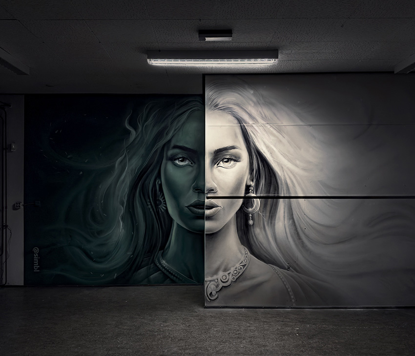 jan stel, simbl, purmerend, graffiti, streetart, nhd, noord hollands dagblad,