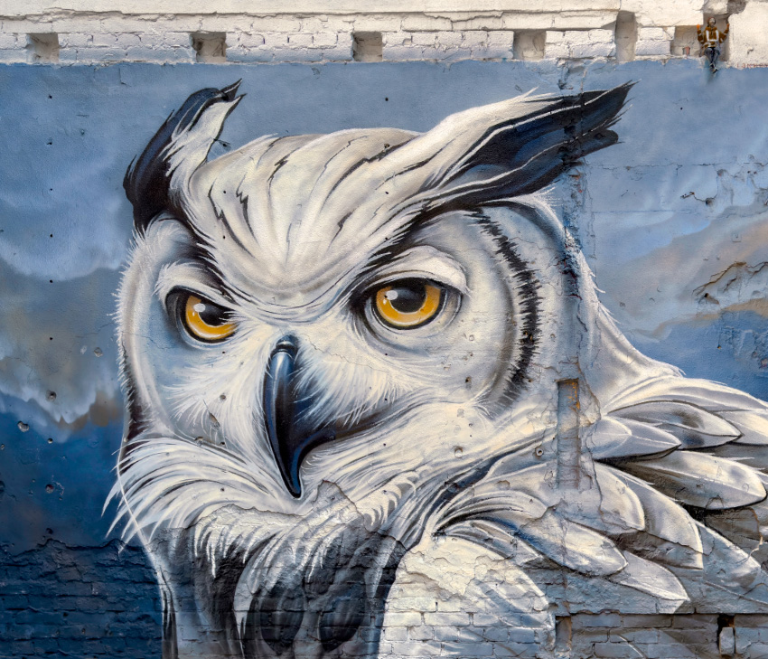 jan stel, simbl, amsterdam, graffiti, streetart, secret garden, nicholas groente & fruit, Sint Nicolaasstraat 19,