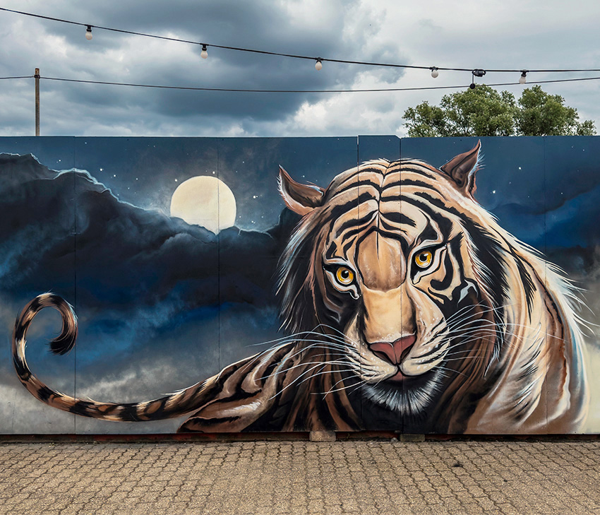 jan stel, simbl, purmerend, graffiti, streetart, Paris, spot 13, France, ,