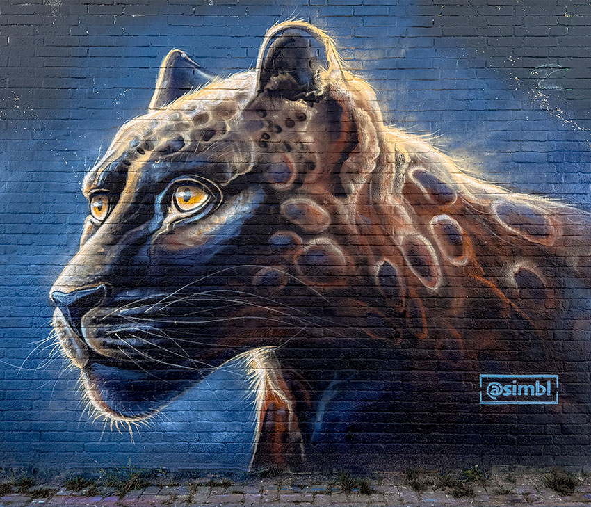 jan stel, simbl, purmerend, graffiti, streetart, yorkone, abandoned school, gym, 3d,