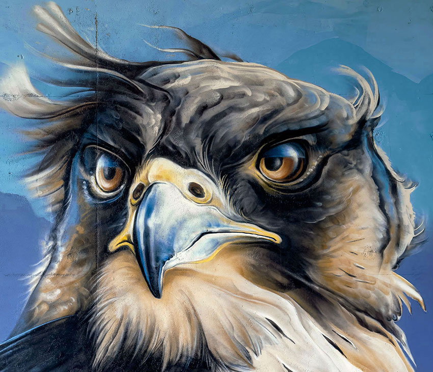 jan stel, simbl, street art, graffiti, falcon, juice, juicefied,