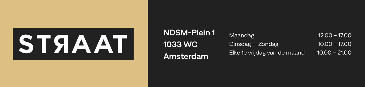 jan stel, simbl, street art, graffiti, wall painting, graffiti, art, muurschildering, kings of colors, spring of colors, festival, den Bosch, hall of fame, 